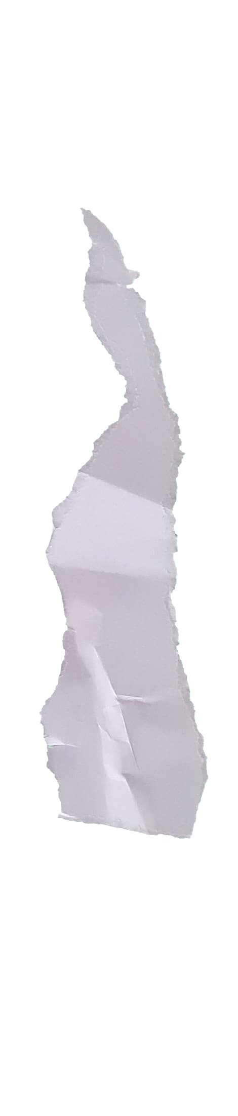 Paper Rip 08