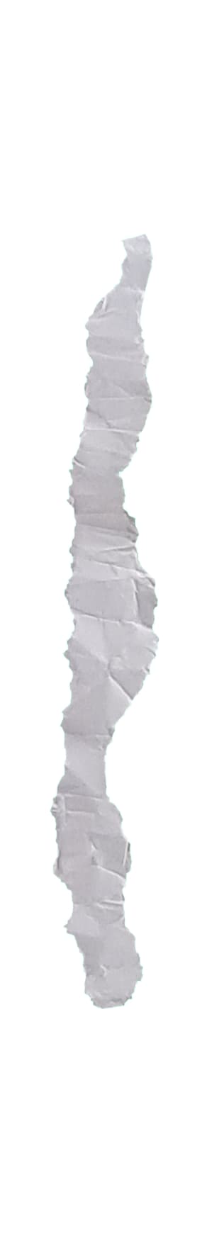 Paper Rip 02
