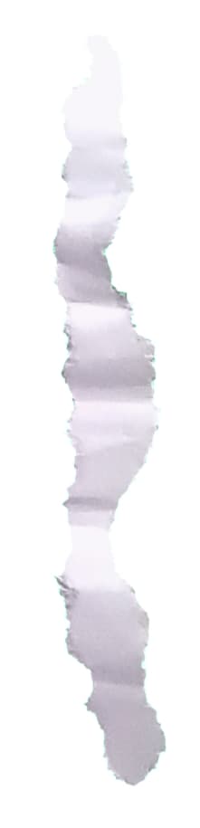 Paper Rip 01