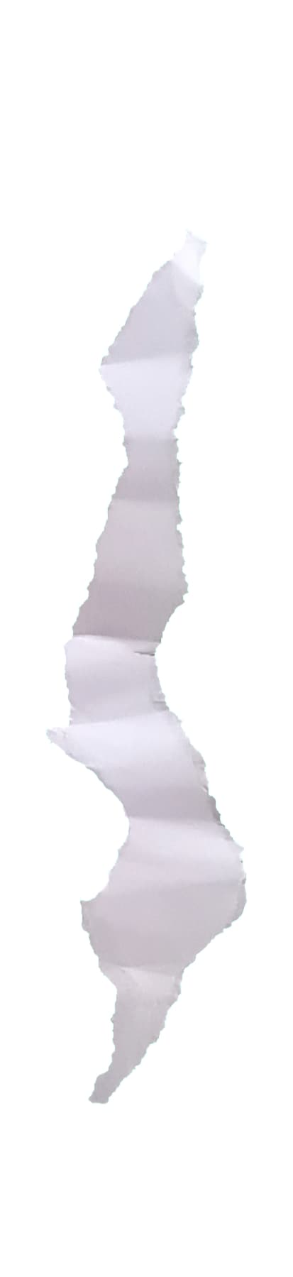 Paper Rip 07