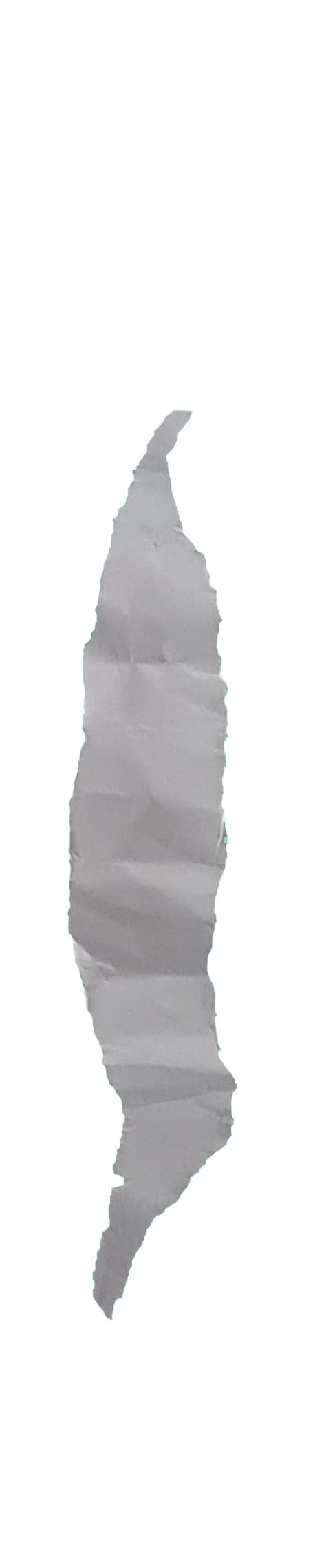 Paper Rip 03