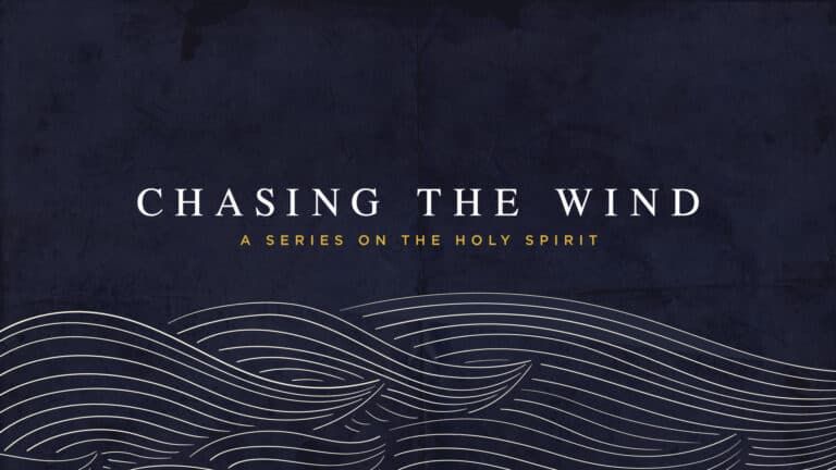 0883 Chasing The Wind