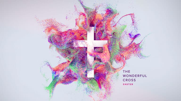 Wonderful Cross Bumper_Long