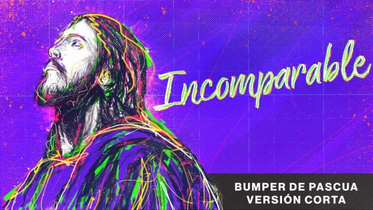 Incomparable Bumper Corta