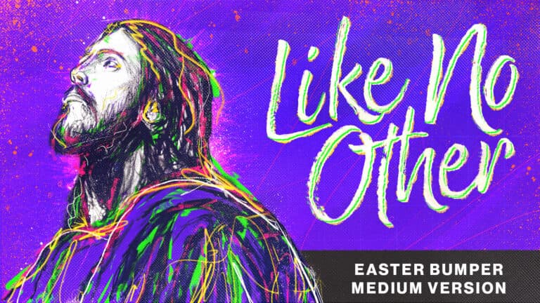 Like No Other MainBumper_Medium