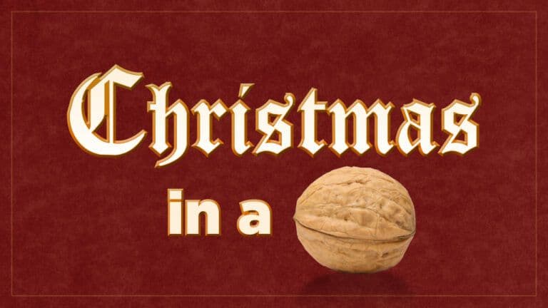 Christmas In A Nutshell