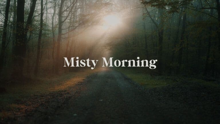 Misty Morning