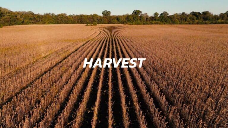 Harvest